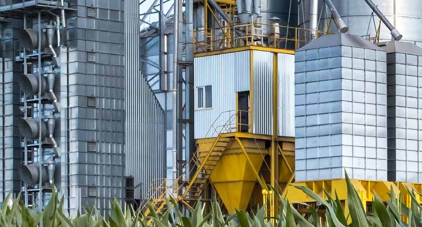 L'agriculture regénératrice : Le rôle des moulins et des producteurs de denrées alimentaires dans la chaîne d'approvisionnement durable