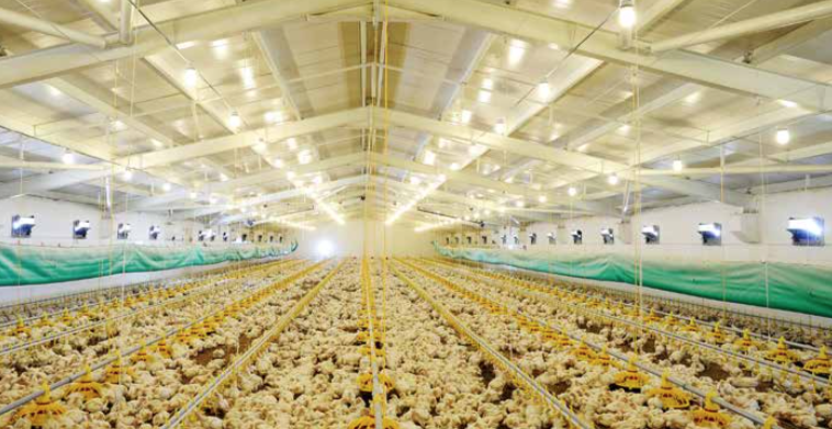 Industrie des aliments au Brésil