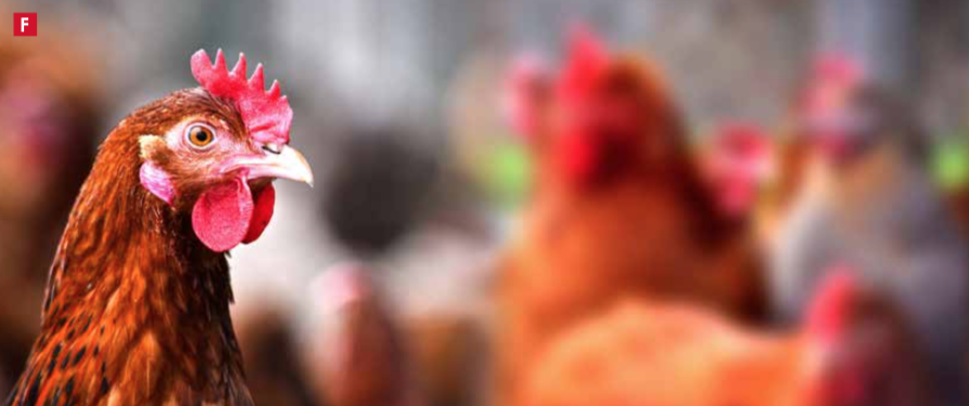 Répondre aux demandes des consommateurs grâce à des solutions nutritionnelles