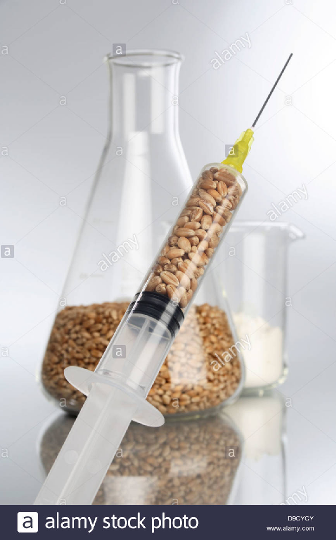 Acide folique: Médication de masse ou nutrition de masse ?