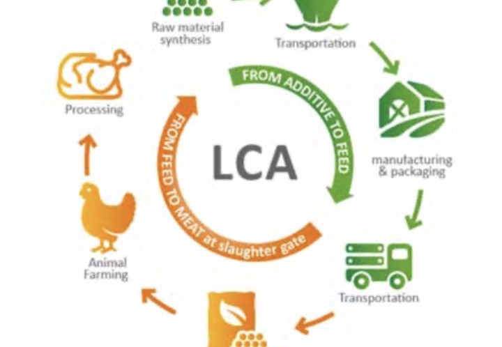 Sécurité alimentaire mondiale
