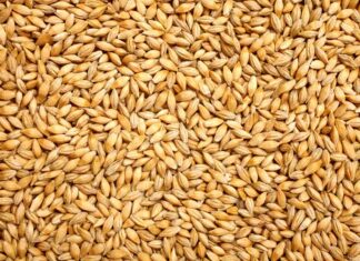KSU-GEAPS Gestionnaires de silos à grains
