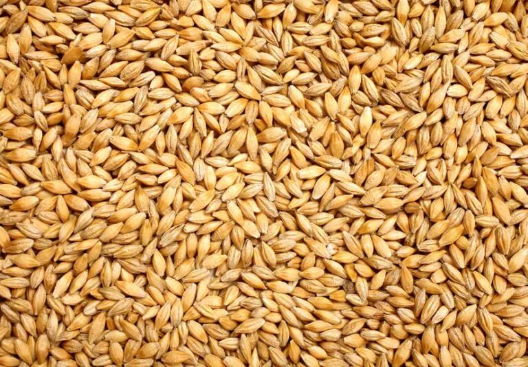 KSU-GEAPS Gestionnaires de silos à grains