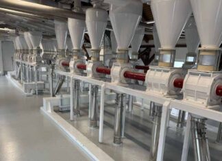 Nouvelle construction de Große Mühle à Hasede-Hildesheim