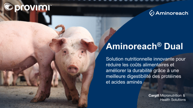 Lauréat Innov’Space 2025 : Aminoreach® Dual de Provimi