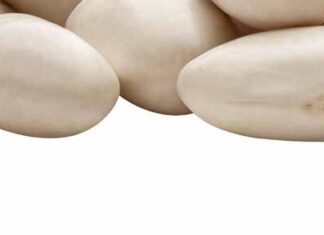 Défi commercial & Opportunités de la transition du système alimentaire en 2026
