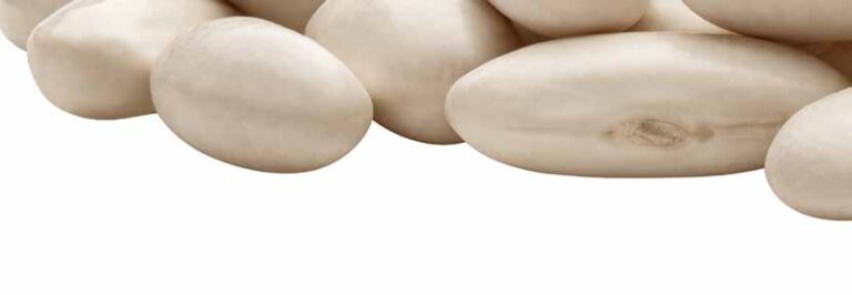 Défi commercial & Opportunités de la transition du système alimentaire en 2026