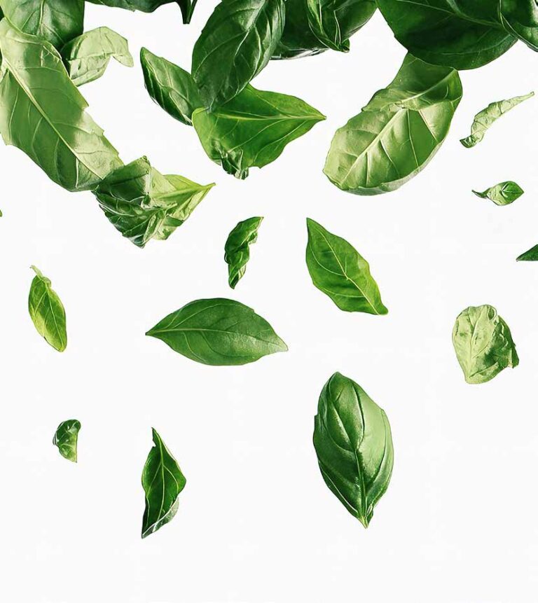 Phytogéniques, durabilité et croissance…