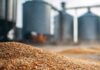 Optimisation du stockage de grain