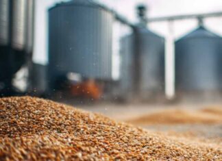 Optimisation du stockage de grain