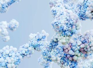 Comprendre la bio-efficacité de la méthionine